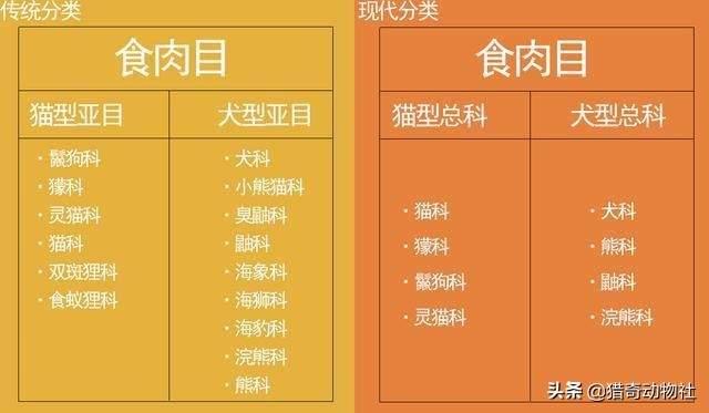 头条问答 为什么很多人讨厌鬣狗 6个回答