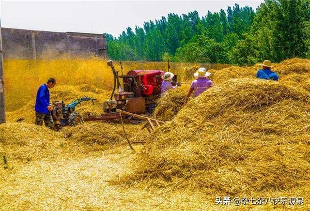 怎么挖src的漏洞，知了猴从地里面打洞爬出来，谁知道打洞的土去哪了