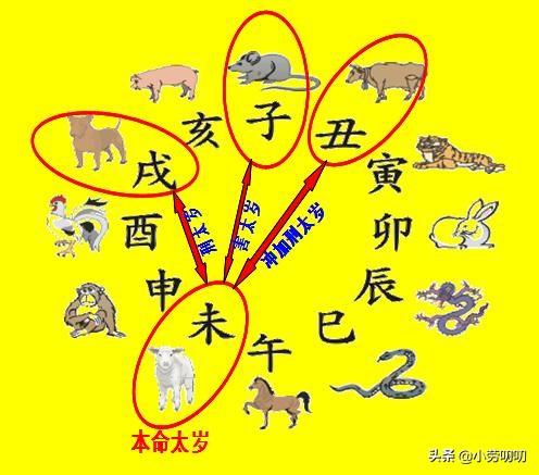 元明补肾圣方，“犯太岁”中的“太岁”究竟是什么