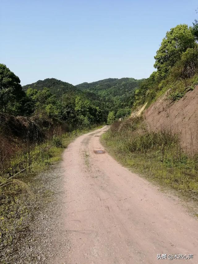 不喜欢前任还梦见他,总是梦到前任，要不要去找他？