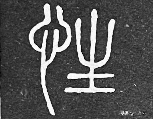 为什么胜是月字旁，性是竖心旁？:不胜其烦的胜是什么意思 第4张