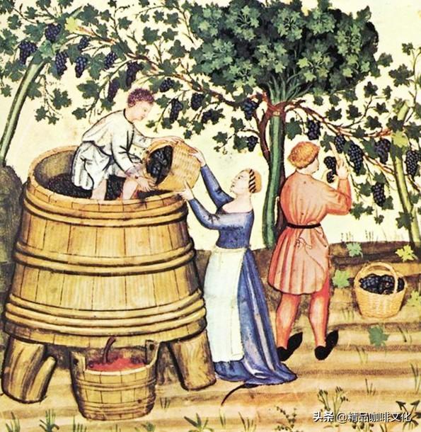 轩尼诗葡萄酒，为什么葡萄酒要用橡木桶储存？