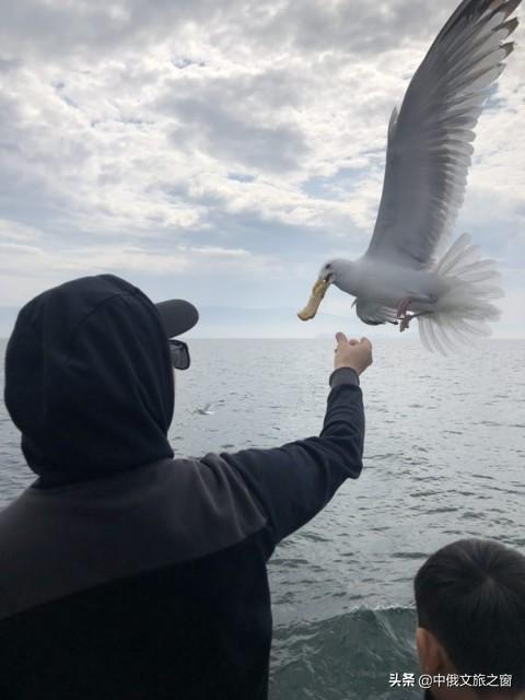 贝加尔湖畔的碧玉之灵,贝加尔湖旅游体验如何？值得去吗？