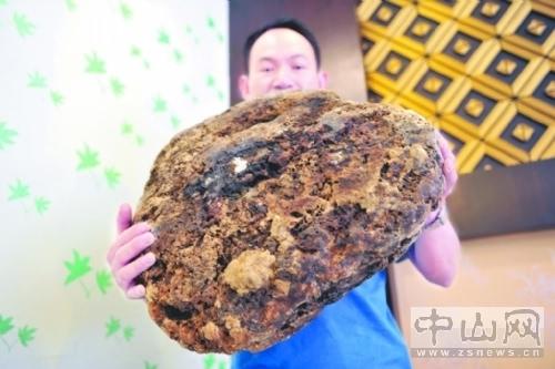 叶美香:龙涎香怎么来的，真是鲸鱼吐出来的吗？