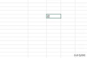 excel表格怎么打勾,如何在EXCEL中打勾？
