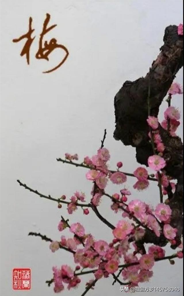 情人节到了,分享一下感动你的情书或情语可以吗？