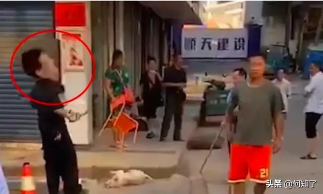 湖南宠物网:“遛狗不牵绳，一律捕杀”，湖南永州城管的做法你怎么看？