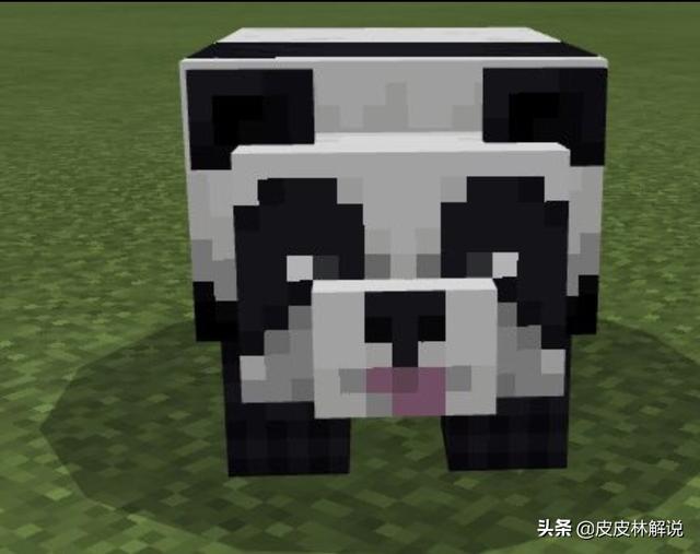 头条问答 我的世界竹林在哪 9个回答