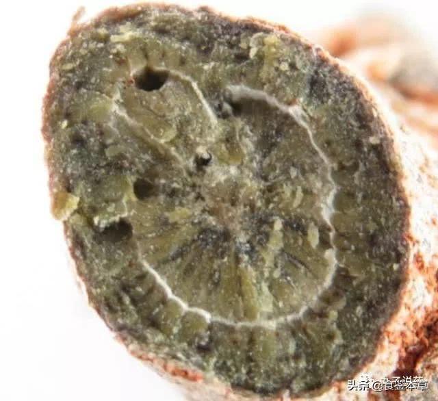 头条问答 人参和三七在外形上怎么区分 食鉴本草的回答 0赞