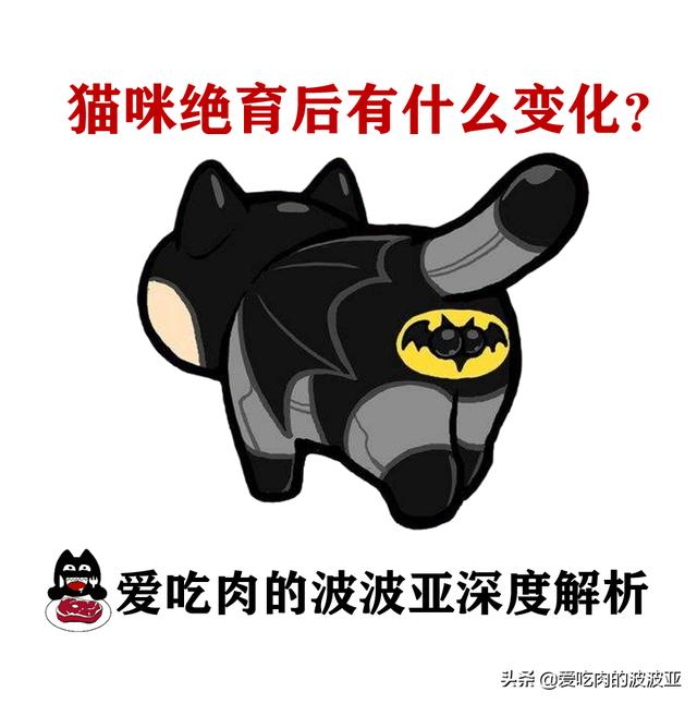 铲屎官小程序有假货吗:铲屎官优选小程序是正品吗 猫咪绝育之后有什么变化吗？