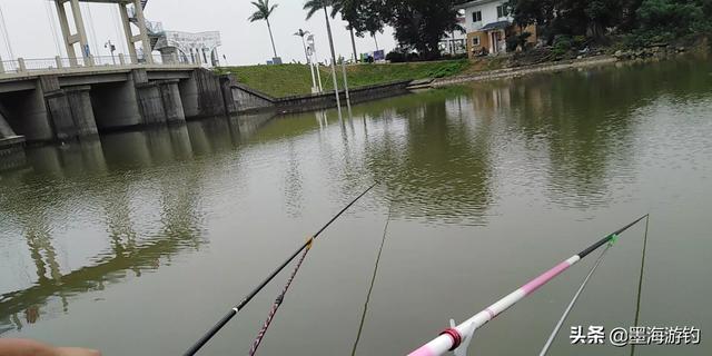 霸王刺皮鱼钓鱼熟练:霸王棘皮鱼哪里能钓到 鱼漂吃铅少，不易抛竿怎么办？