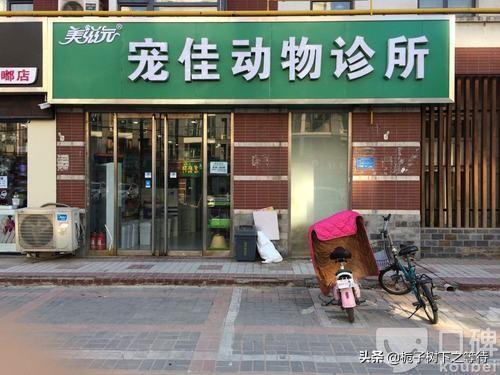 宠物健康护理员怎么样:石家庄宠物护理哪家专业？