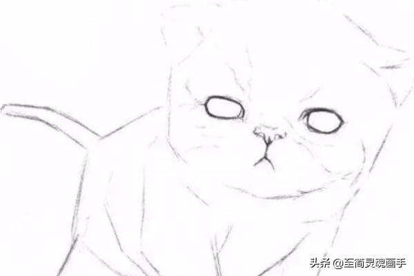 可爱的小猫:如何素描一只可爱的小猫咪？