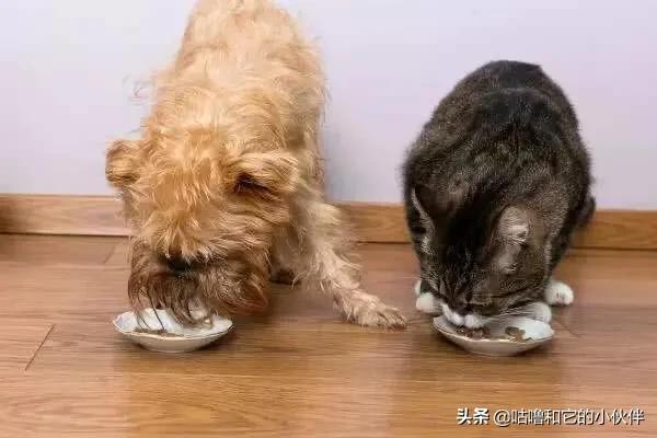 奶粉成分牛磺酸是什么:奶粉牛磺酸是什么意思 奶粉里面有哪些可以帮助宝宝脑部发育的成分？