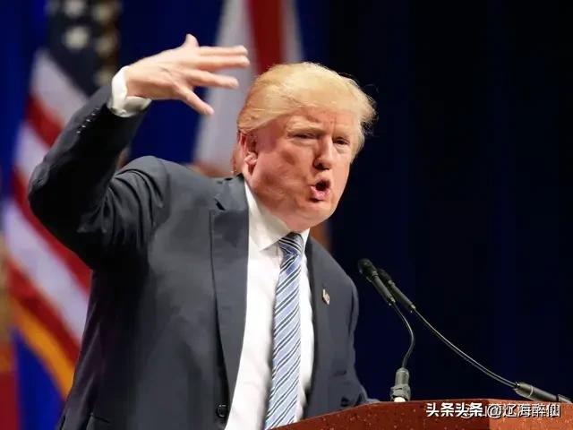 雷克斯警官纪录片:呦！你有什么电视剧或者电影可以建议观看？