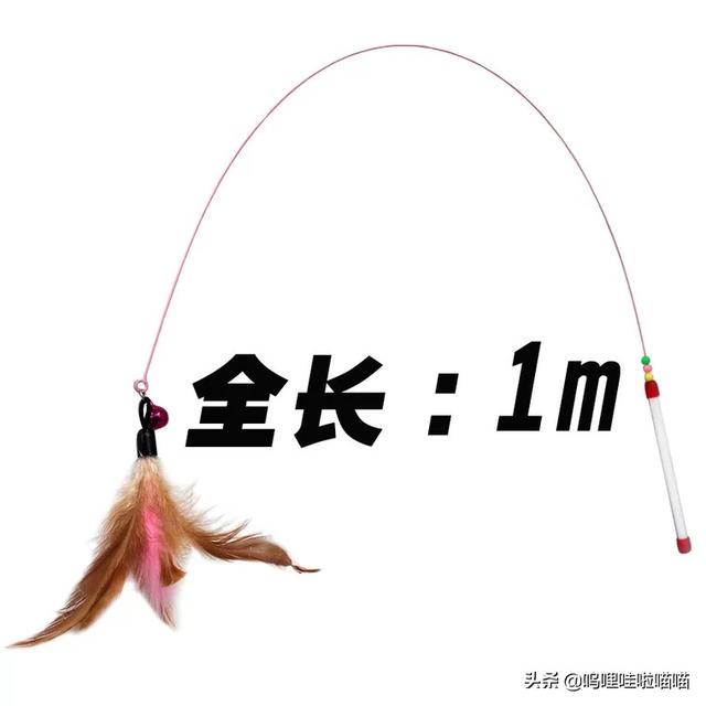 猫咪弓形虫疫苗打几针:被猫咬到手要去打狂犬疫苗吗？