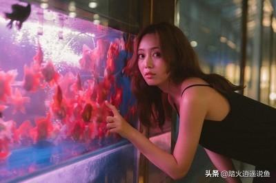 红宝石鱼趴缸:全部趴在鱼缸底不愿动，身上有红斑点，鱼得了什么病？