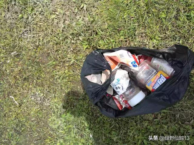 雷达鱼被吓得不敢出来:钓鱼人最怕遇到什么事情或东西？