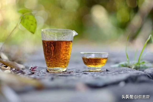 上海奉贤喝茶资源:有没有懂茶或卖茶的人，介绍一下龙井茶怎么样谢谢