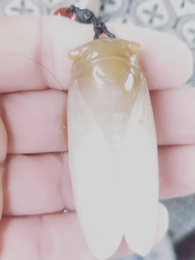 怎么看玉值多少钱,捡到一个玉蝉，懂行的条友们，值多少钱？