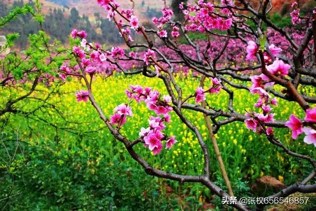 人人都说最美四月天,那么,请问您还知道四月是什么月份？