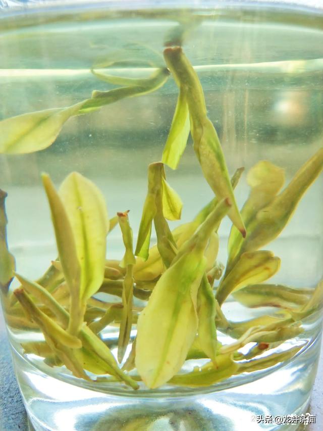 喝绿茶有哪些好处:绿茶什么时候喝比较好，喝哪种