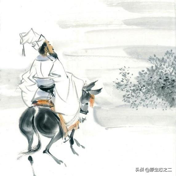 驴大的货:驴大的货从小就养龟 快手辛巴和散打被封后，二驴频带货，流量明显加大，为何？
