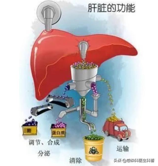为什么我总是放屁:为什么我总是放不开自己 经常放屁，是不是身体有问题？
