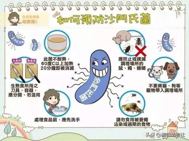 华丽巨蚊会捕食蚊子吗:只有母蚊子才会叮人吸血吗？