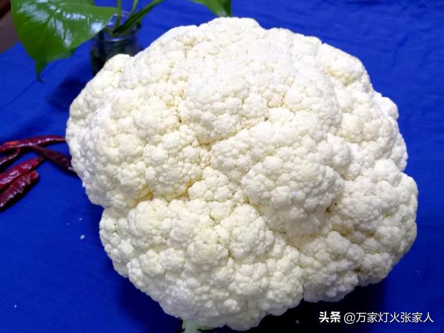 菜花甜妈送你葱:综艺节目到底是按剧本演的还是随机应变的