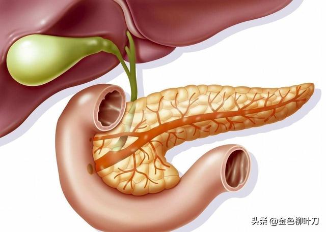 乔布斯胰腺癌:胰腺癌一般哪里会出现疼痛