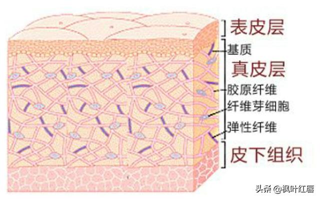水解胶原纤脸面膜胶(水解胶原精华面膜)
