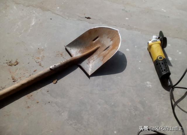 蟒蛇吃人事件:世界上最大的蛇究竟有多大