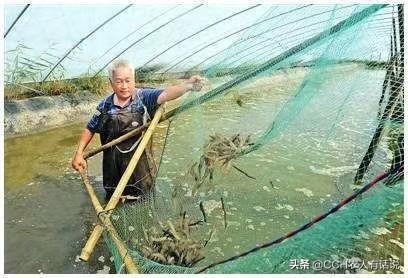 什么叫做职业农民？
