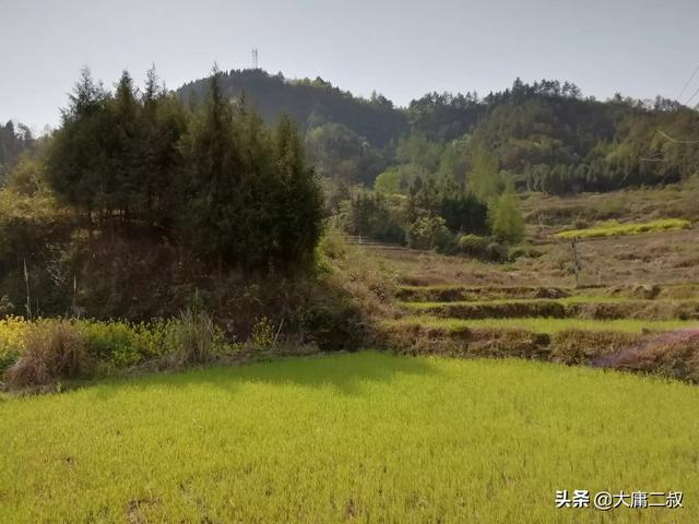 李觉将军:有没有从小被人欺负，长大成功了的名人故事？