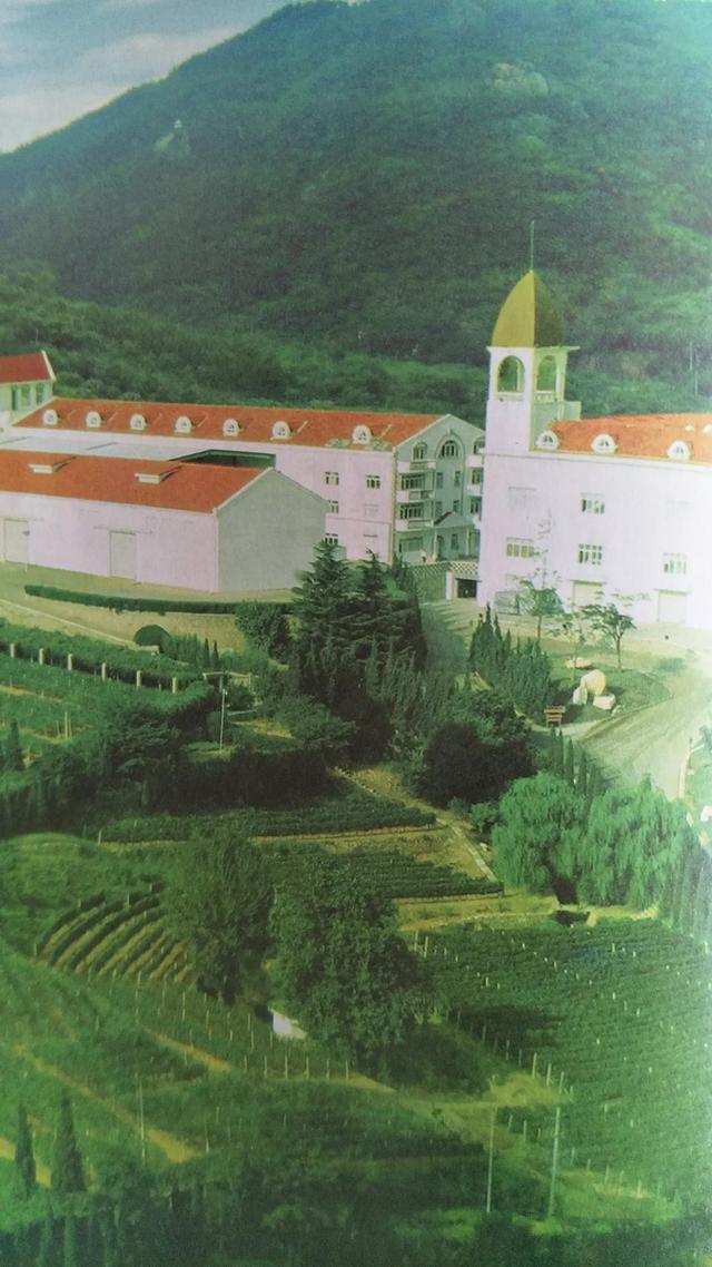 家里要出事的征兆,人生中那些大事情发生前有预兆吗？