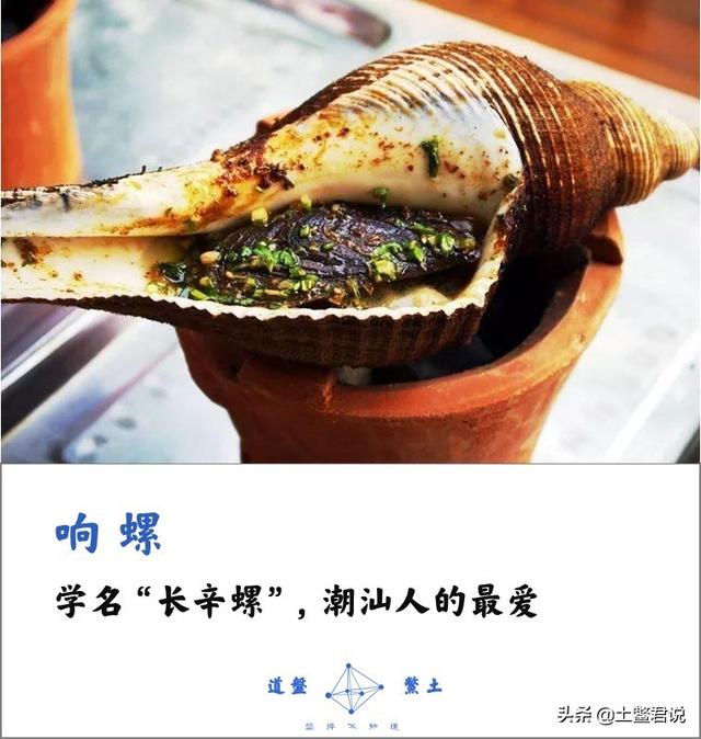 龙趸王:中国四个海哪个海里的海鲜好吃，为什么