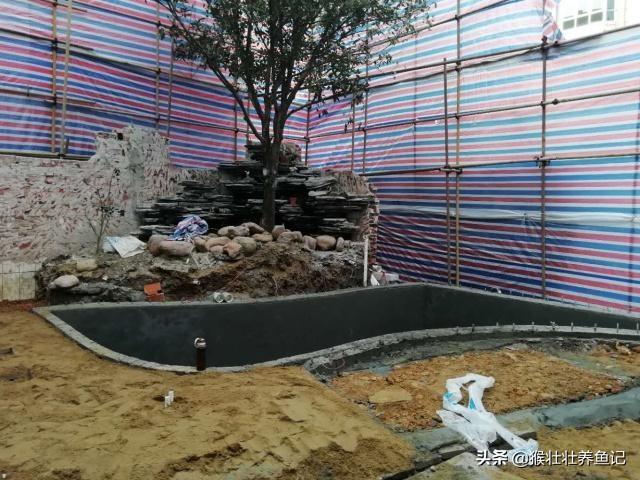 024观赏鱼自由交易车安全:养锦鲤，锦鲤鱼池出水口一般设置多高？