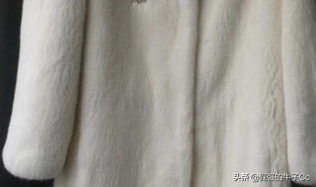 水貂皮草图片:水貂皮草清洗 水貂皮草下身搭配什么好看？