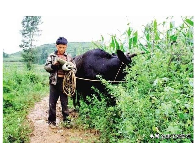 你们有什么亲身经历过的恐怖经历吗？