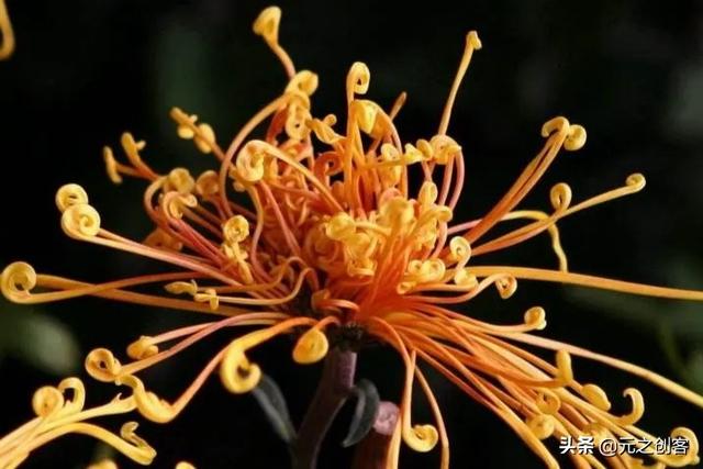 越磨人的孩子越有出息,孩子是越吵，成绩越差吗？怎么教育好？