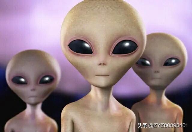 家里如果有外星人需要上交给国家吗？