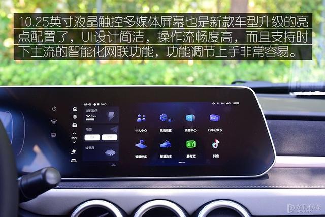 好家猫:女司机的“镇妖塔”，欧拉好猫和黑猫，哪款是你心里的猫？