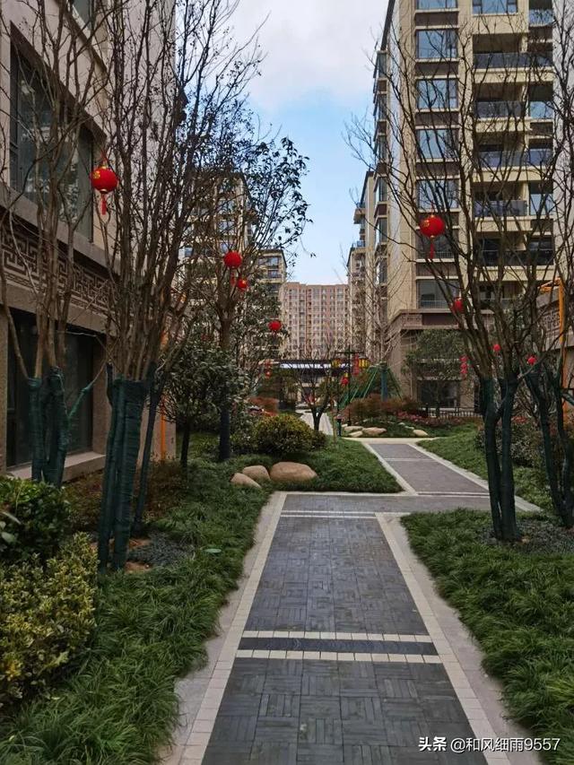 张衣:钱和幸福到底是什么关系？