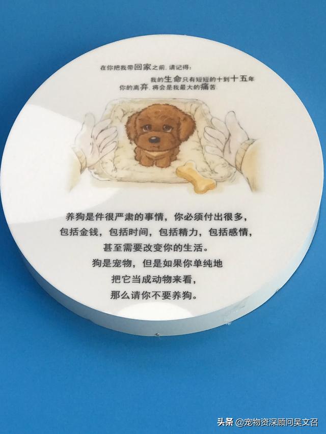 最悲伤的狗:养了很久的狗狗不在了会很难过吧？