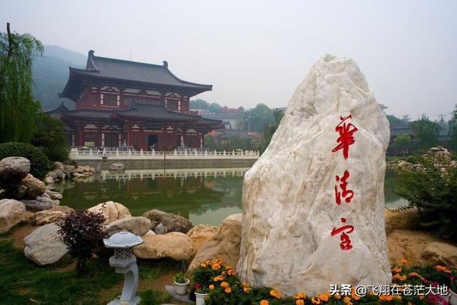 成都加菲猫高清图片:临了一年多颜真卿《多宝塔》，越写越差，怎么提升？