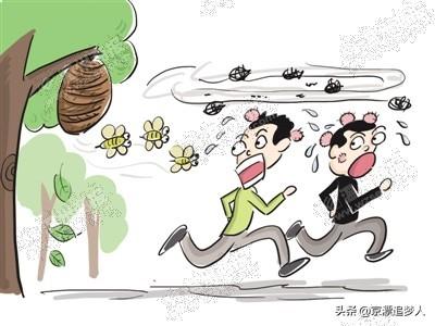 头条问答 - 连云港小学生放学路上被马蜂袭击,直接进了icu, 你怎么看?
