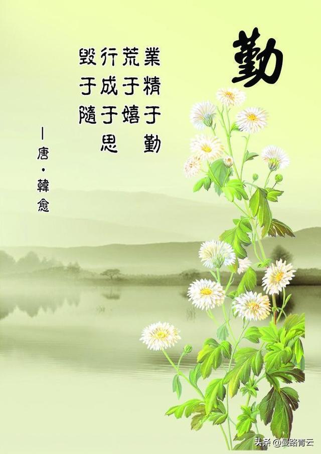 中国牧羊犬在线天利:世界上最受欢迎的狗有哪些？
