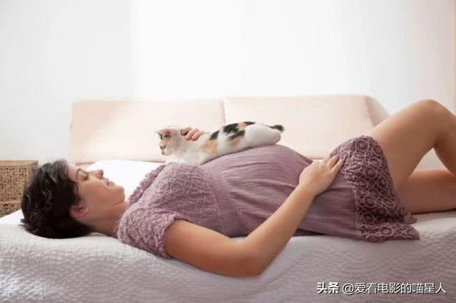 猫得了弓形虫病的症状:猫感染弓形虫有什么症状？ 猫弓形虫病的症状图片