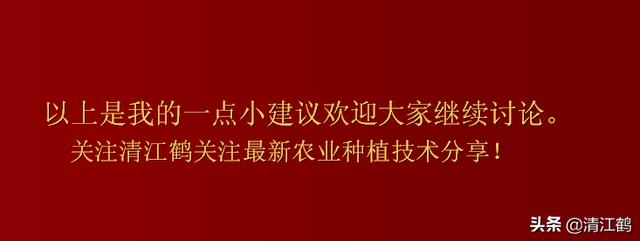 南方创业，北方人热衷于进入体制内，而南方人则以创业经商为主，你怎么看